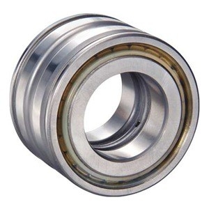 SL045005-PP.2NR double row full complement cylindrical roller bearing,sealed bearing