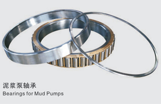 High quality cylindrical roller bearing for 3NB1600 mud pump  fixed in connecting rod NFP6/723.795Q4/C9